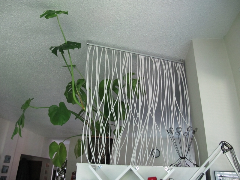 Ceiling Divider from Living Area